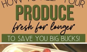 How To Keep Food Fresh Longer