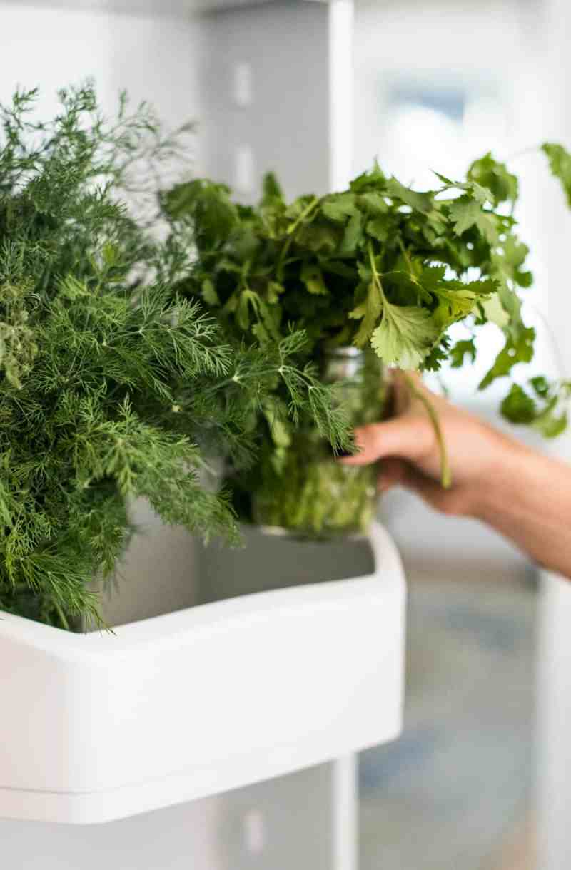 How To Store Fresh Cut Rosemary