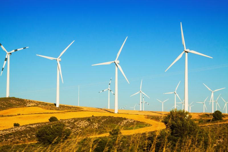 Houston Renewable Energy Companies