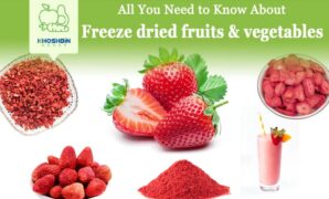 How To Freeze Fresh Vegetables And Fruit