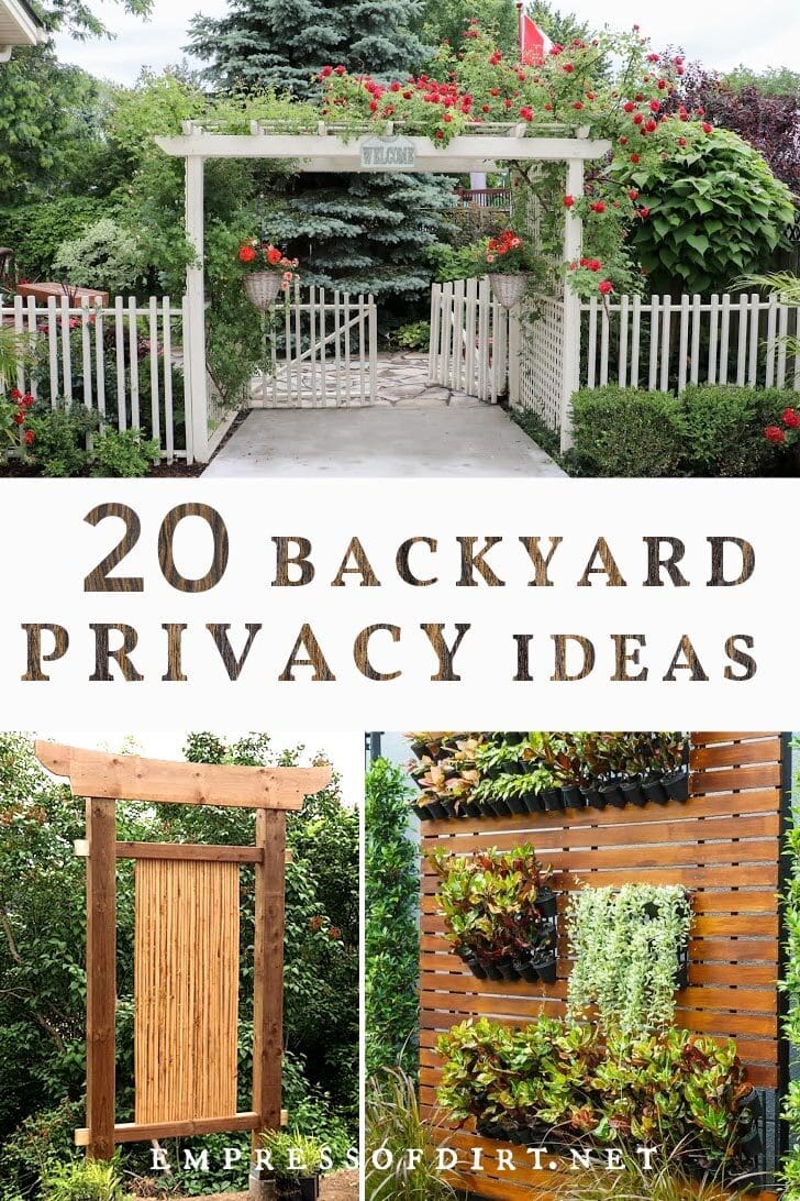 Landscaping Ideas For Privacy Screening