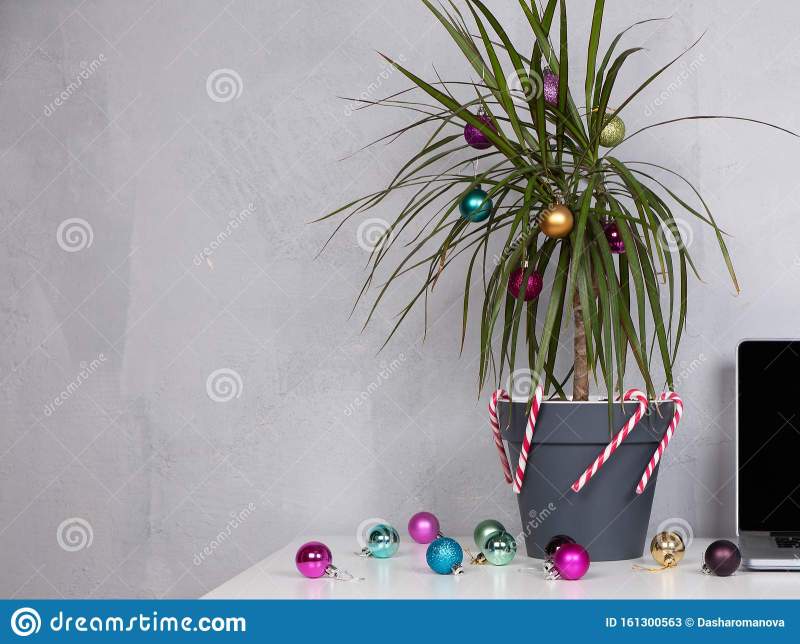 Office Desk Ornaments