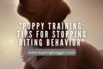 Puppy Training: Tips for Stopping Biting Behavior