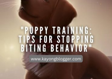 Puppy Training: Tips for Stopping Biting Behavior