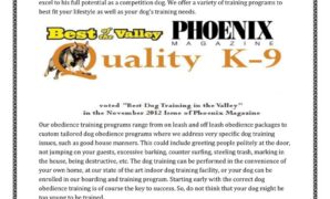 Best Puppy Training Methods For Obedience