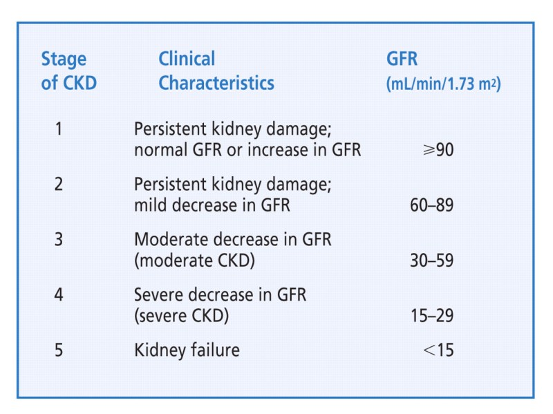 Chronic Kidney Disease Stage 1
