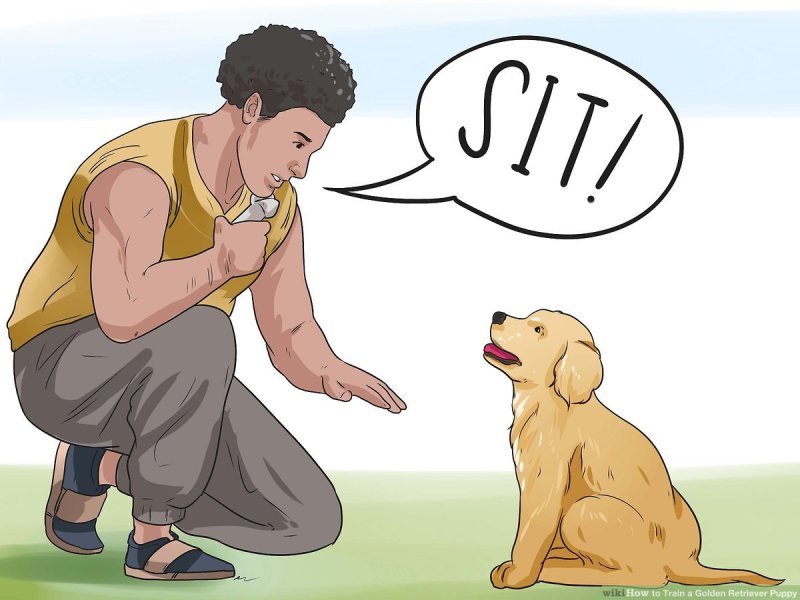 How To Train A Puppy To Be Alone