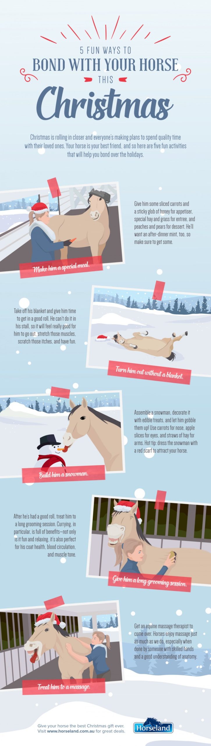 Fun Activities To Do With Your Horse
