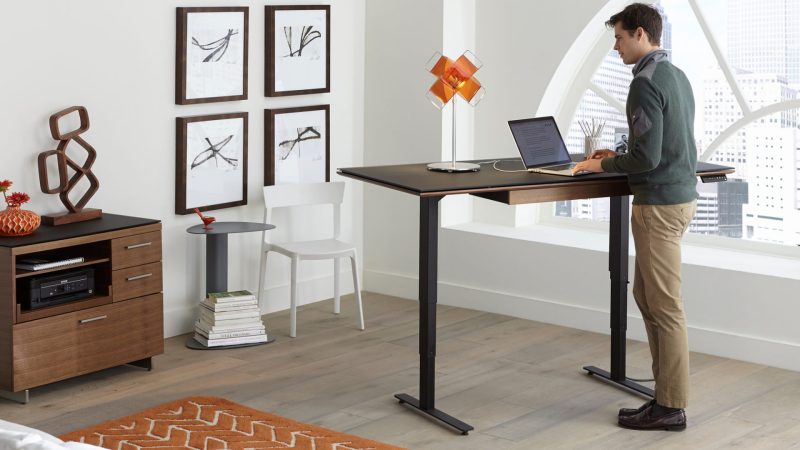 Standing Desks For Home Office