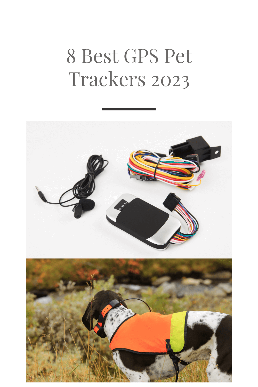 8 Best GPS Pet Trackers 2023
