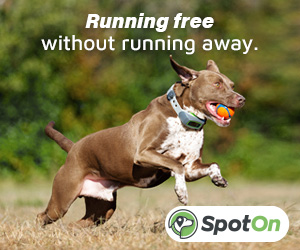 SpotOn GPS Dog Fence – The #1 Rated GPS Dog Collar Fence